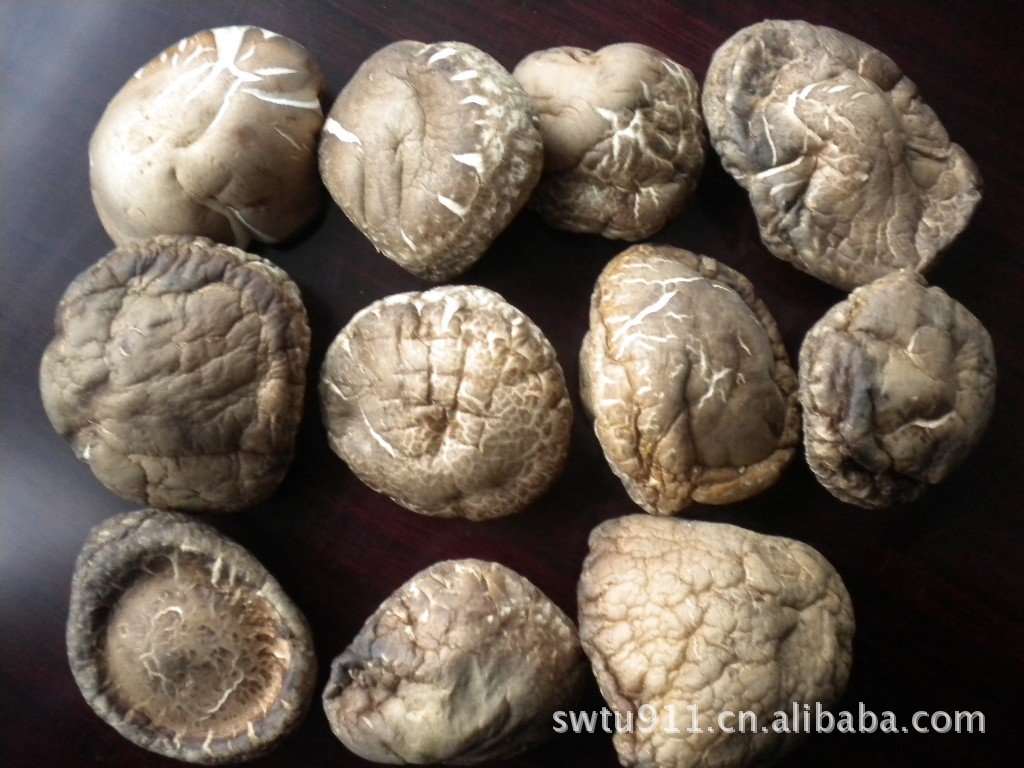 供应批发各种香菇  质优价廉 已剪脚全干货