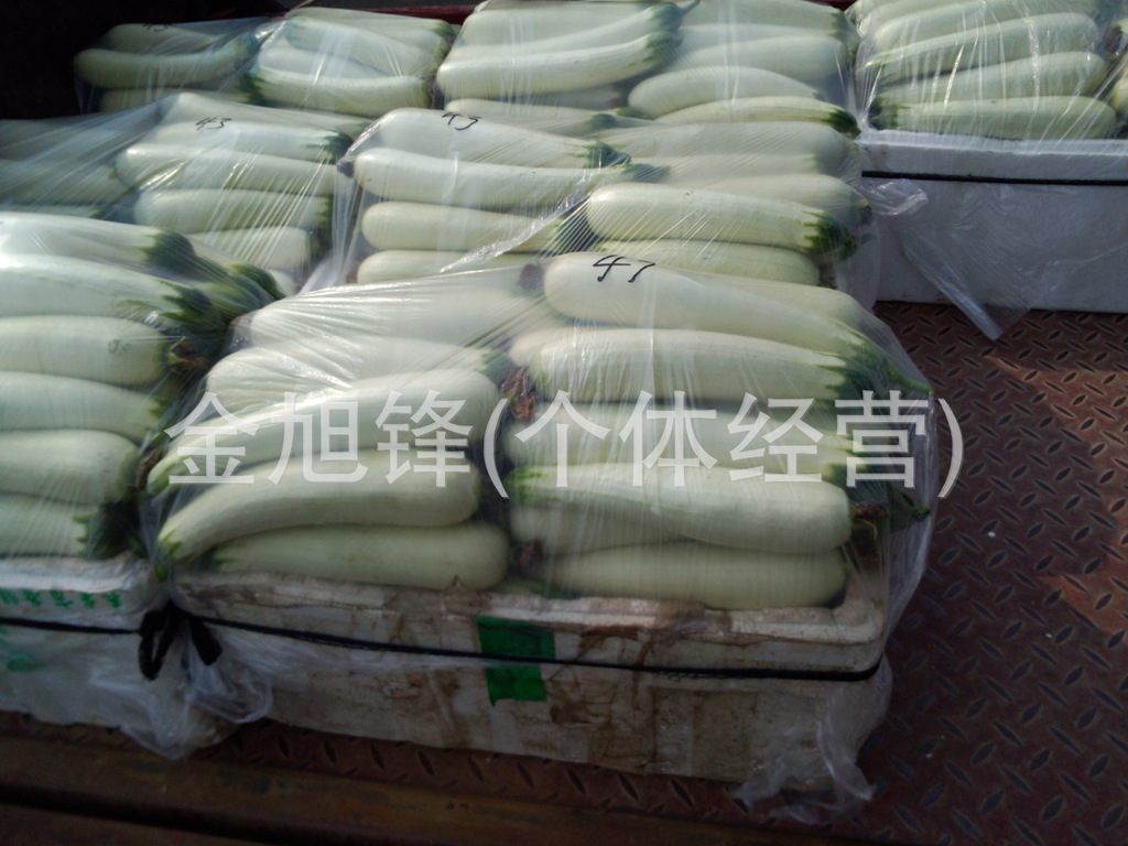 白丝瓜种子，丝瓜白色，细腻光滑，产量高，食用口感好