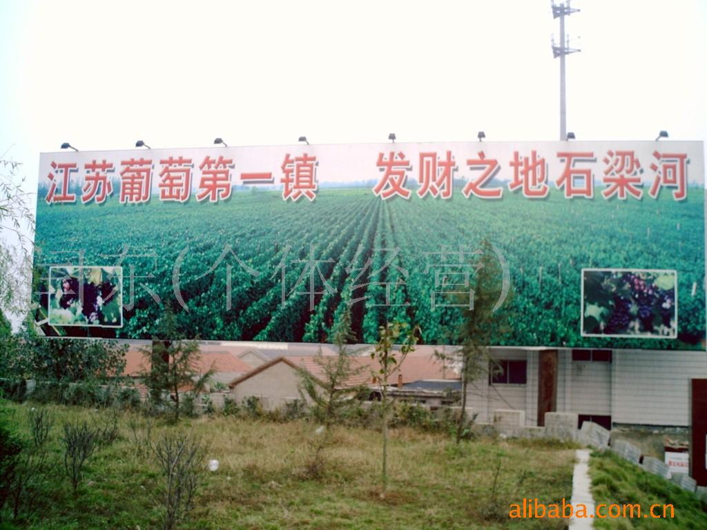 供应葡萄苗木(图)、葡萄苗、多年生葡萄、葡萄果品等