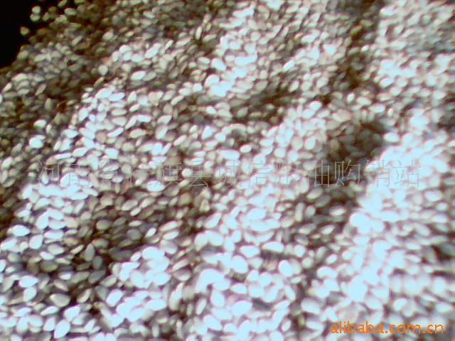 供应优质白芝麻