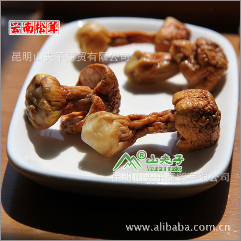 【云南高原松茸野生菌】特级松茸菌|松茸|野生食用菌【产地批发】