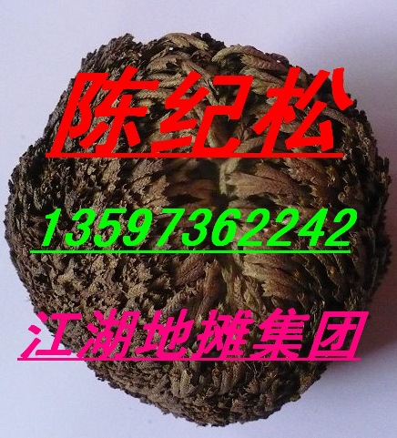 九死还魂草=卷柏=人参草=神仙草=回春草=长寿草=长生草=还阳草