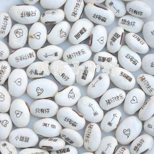 H087草娃娃 *魔豆种子表达最真的爱意*特级盆栽有氧盆栽 白豆