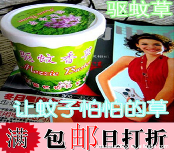 创意家居夏日必备 神奇古怪驱蚊草 植物驱蚊香草 驱蚊草