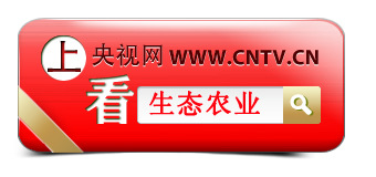 叶面肥 奥健丰微肥 微量元素肥 高效叶面肥 果树叶面肥