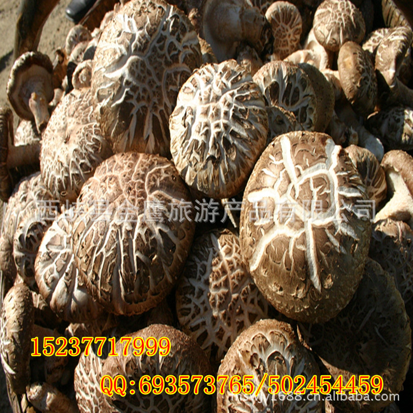 西峡金鹰土特产公司供应椴木花菇批发 营养食用菌