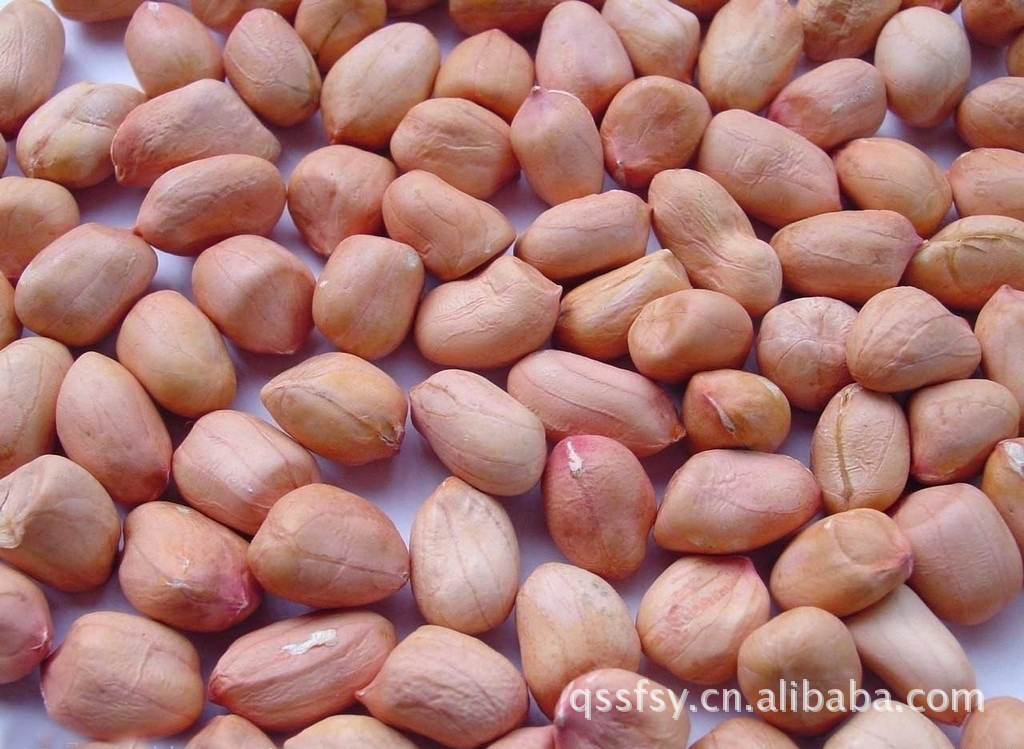 驻马店粮油批发 优质花生 菜籽