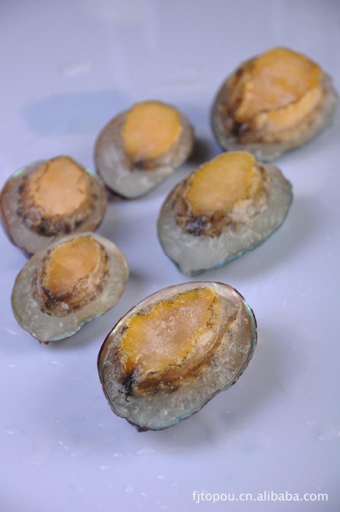 厂家直销批发冷冻水产海文铭品牌单冻鲍鱼