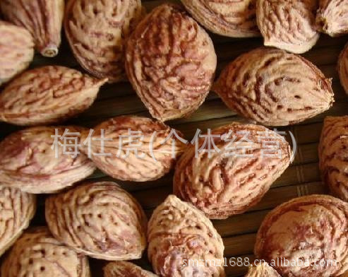 供应优质新品 毛桃核种子 山核桃核种子 大量供应