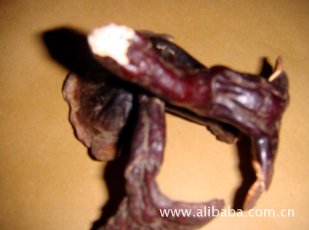 批发西藏野生白心灵芝（买一送一）（一公斤起免邮费）