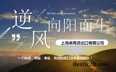 南京调味酱进口代理公司Absorbed