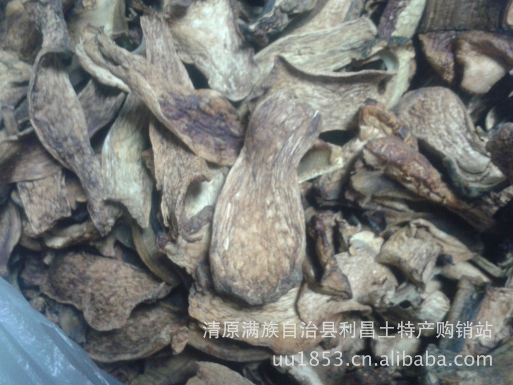 批发东北野生食用菌】黄牛肝菌（黄片）