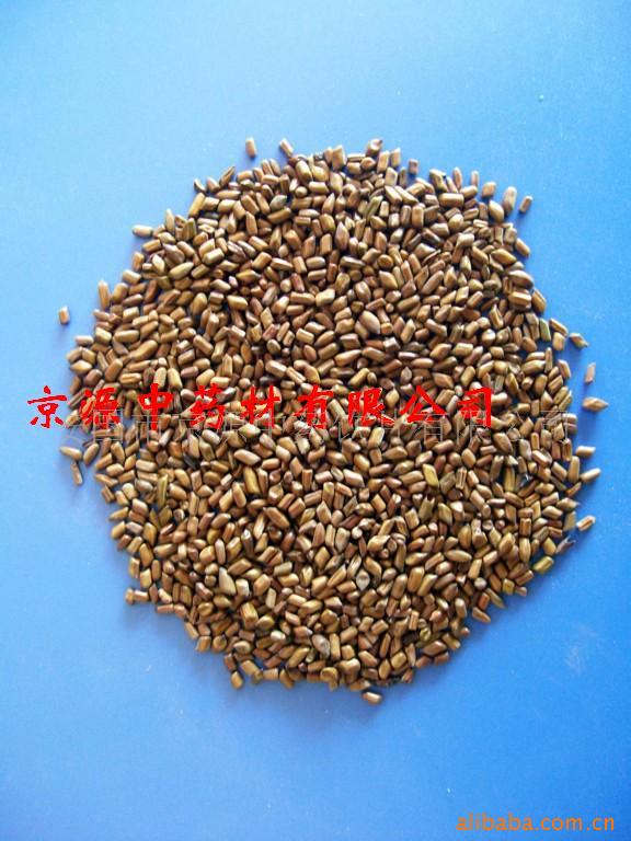 出口级草决明，决明子，决明子茶原料，枕芯填充物