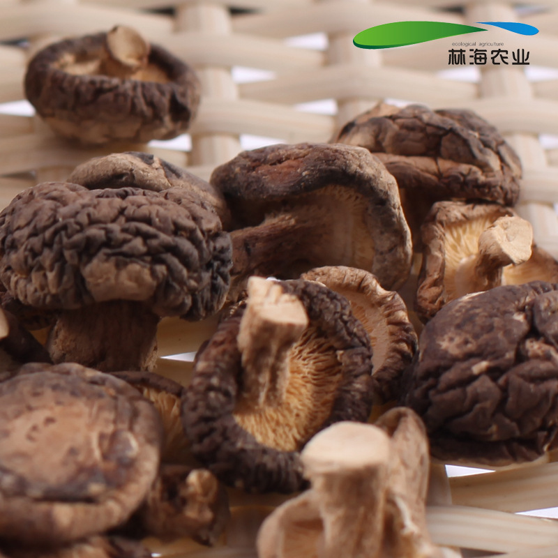 浙江特产干货 遂昌农家 优质香菇干 食用菌