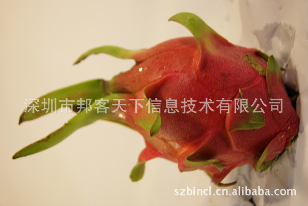 进口水果批发 越南火龙果 深圳水果配送 生鲜果品 20斤装