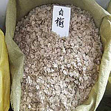 出售花卉种子【白榆种子】榆树种子 林木种子