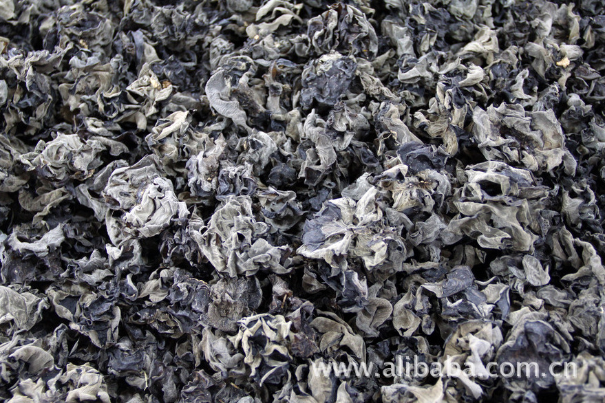 供应  优质  干木耳  特产