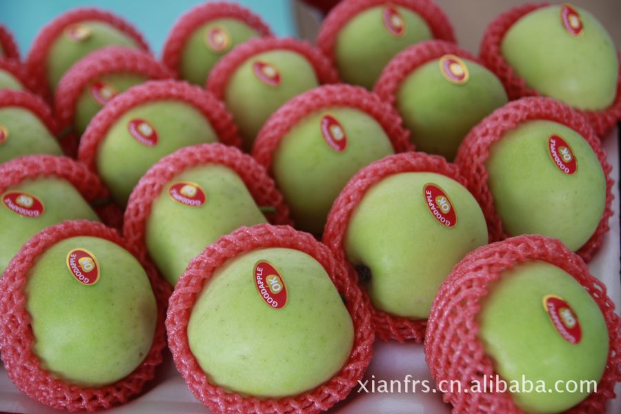 青嘎啦---2012年全新上市