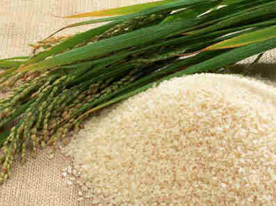 【月销2000】生态农产50足斤农家米