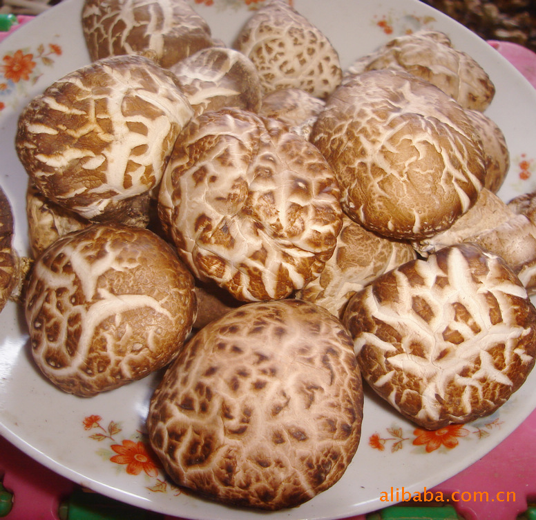 随州三里岗优质香菇 香菇批发 花菇 花菇干货 随州香菇