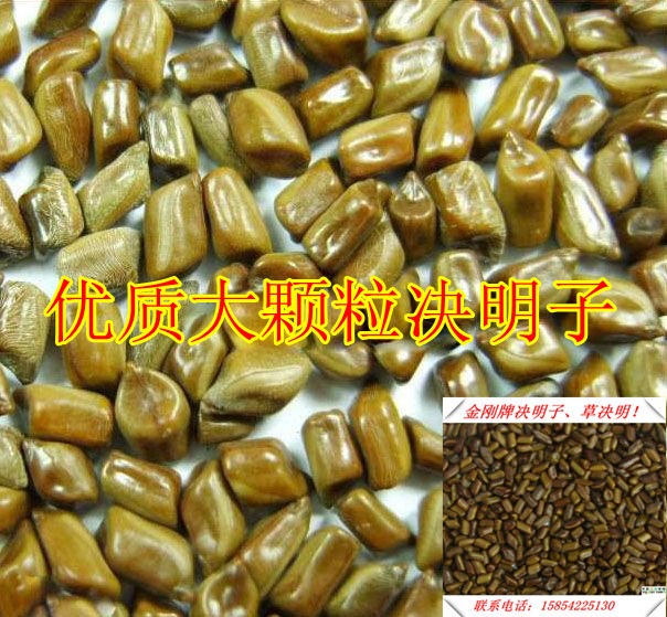 【大量批发】批发中药材 决明子批发 草决明  决明子沙滩