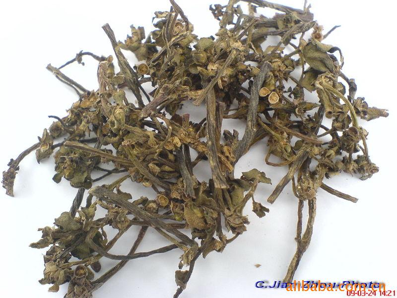 优质供应各种中药材  中药饮片 马齿笕 中草药