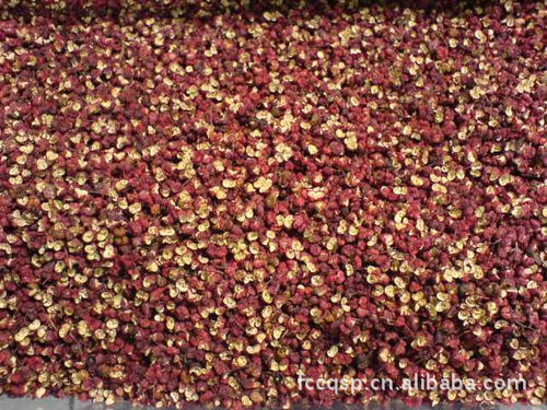 长期大量供应优质花椒 多品种 鲜花椒 货源充足（欢迎来电详询）