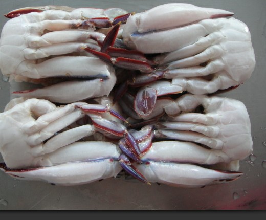 三点蟹 切蟹 QS认证 海魁水产  酒店 食品