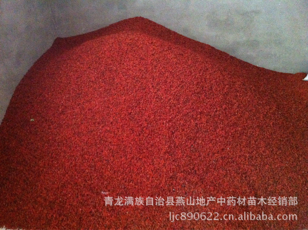 供应河北青龙太阳干枸杞子、烘干室烘干无糖枸杞子，质优价廉合作