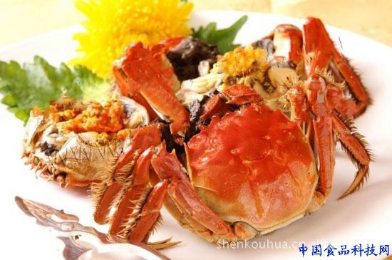 【现货直销】厂家批发正宗大闸蟹 淡水水产海鲜