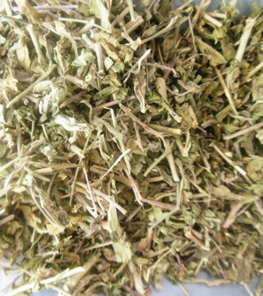 珍珠透骨草 中草药批发