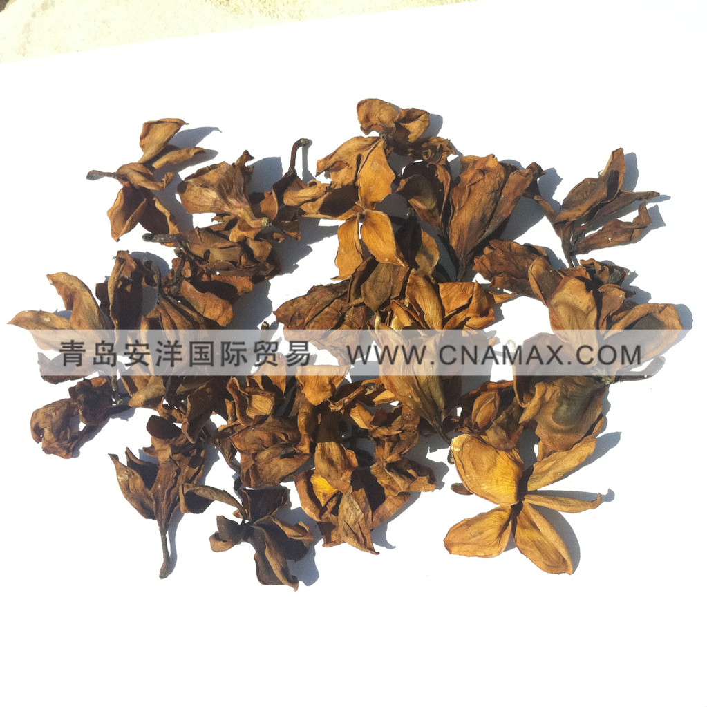 批发供应 优质鸡蛋花 中草药批发 进口 鸡蛋花