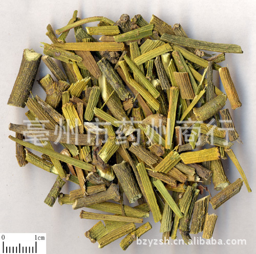 桑寄生 批发销售各种中药材 中药饮片 植物原药材 中草药