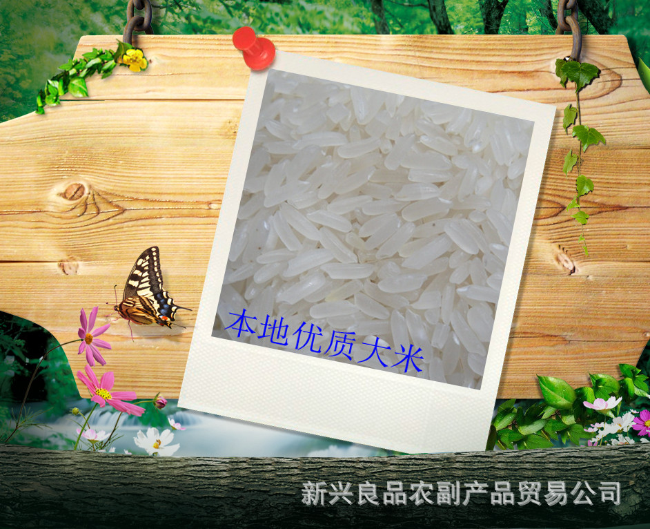 广东供应农家优质大米 油粘米 批发晚籼稻谷 代收早籼稻谷