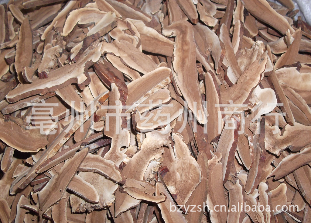 供应中药材 灵芝 灵芝片 批发