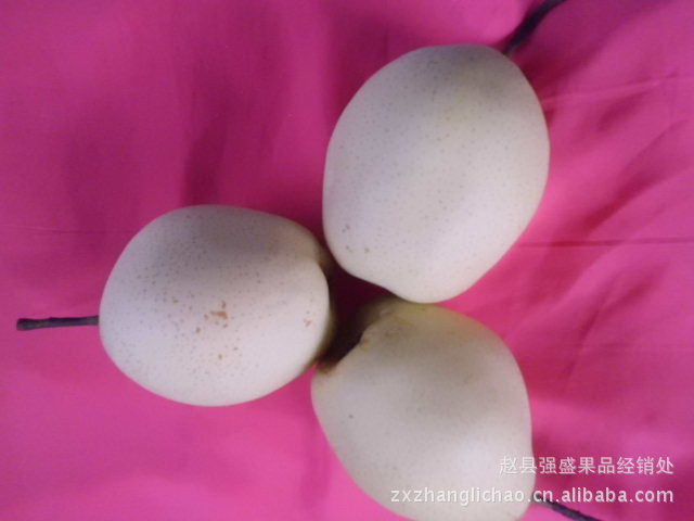 鸭梨-赵县海纳百川果品商行代购优质河北鸭梨