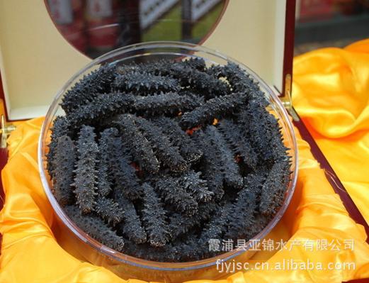 供应霞浦水产自产自销海参