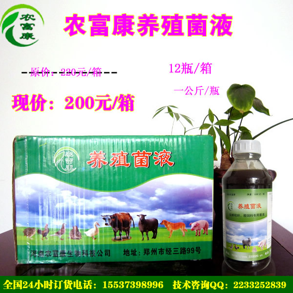 发酵豆渣喂猪能节省饲料吗？豆渣发酵剂怎么买