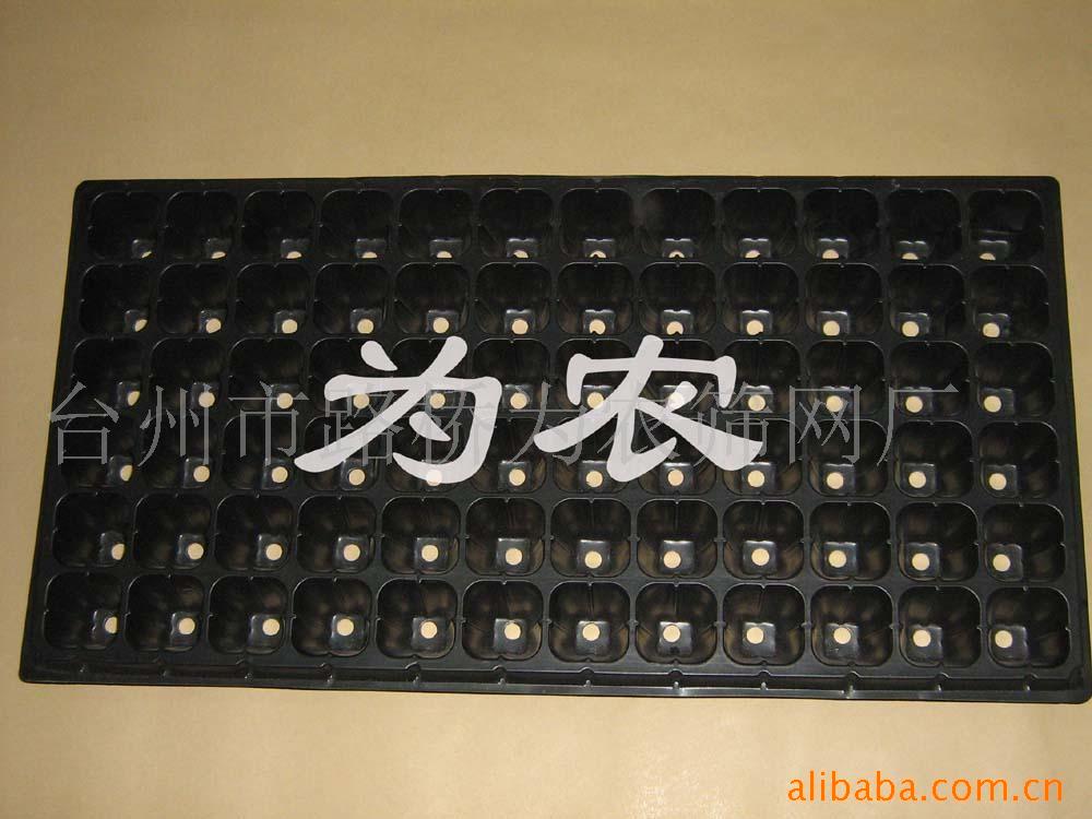 供应种子 蔬菜种子 花卉种子