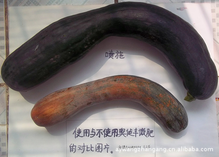 老骥伏枥、志在千里 叶面肥 微量元素叶面肥 高效叶面肥