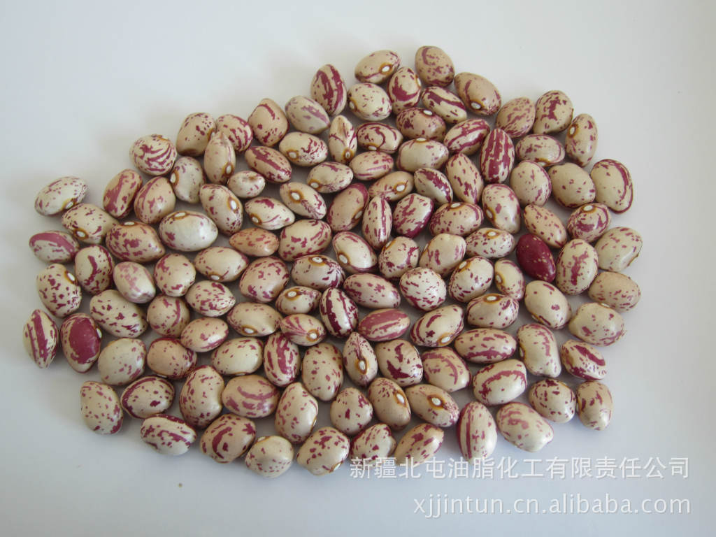 供应批发 农业粮油作物 奶花芸豆 质量保证