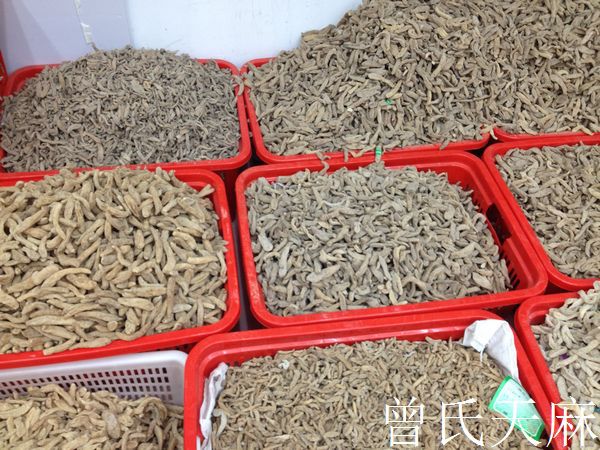 厂家直销供应高品质名贵中草药小天麻（图）