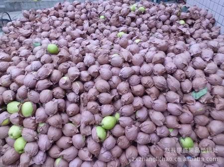 赵县海纳百川果品大量供应不解袋雪花梨 鸭梨散装