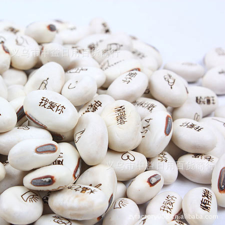 厂家直销〖白色〗魔豆 中英文爱情祝福魔豆 可定制