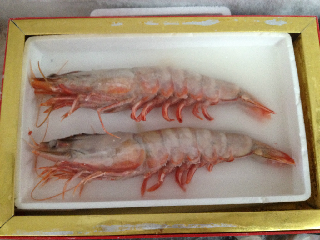 烟台特产 长岛海产品 六头对虾 精美礼盒包装对虾批发