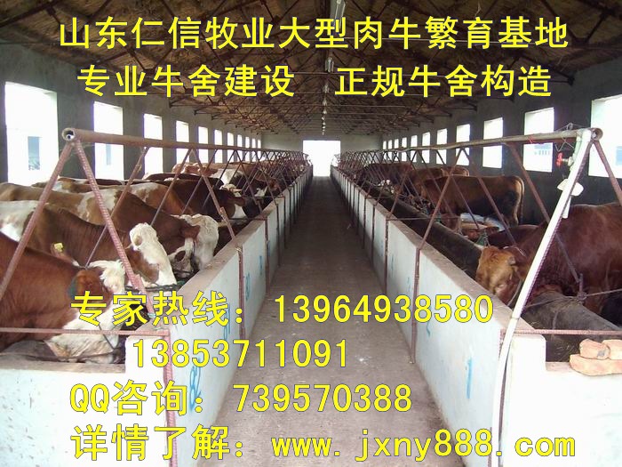 长得最快的羊是哪种羊？肉羊怎么养长得快？