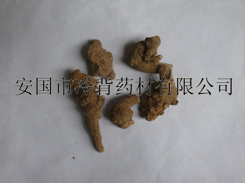 菊三七 中药材菊三七正品 【别名】土三七/菊叶三七/水三七