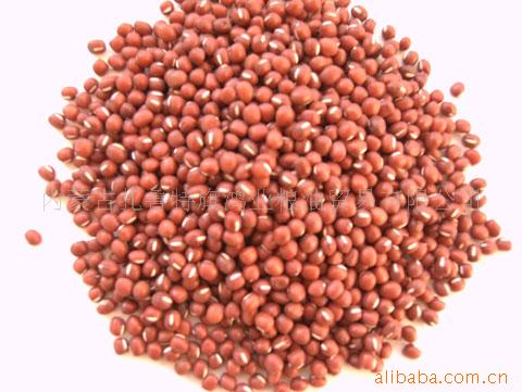 供应红小豆 绿豆