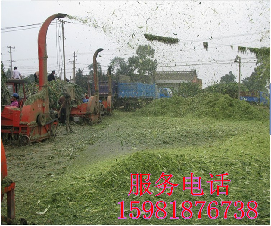 供应铡草粉碎机 秸秆粉碎机 豆秧粉碎机铡草机 多功能铡草机