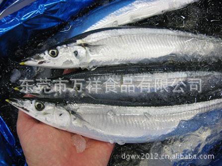 寿司海鲜 冰冻鲜秋刀鱼日本秋刀 日本水产 整箱出售